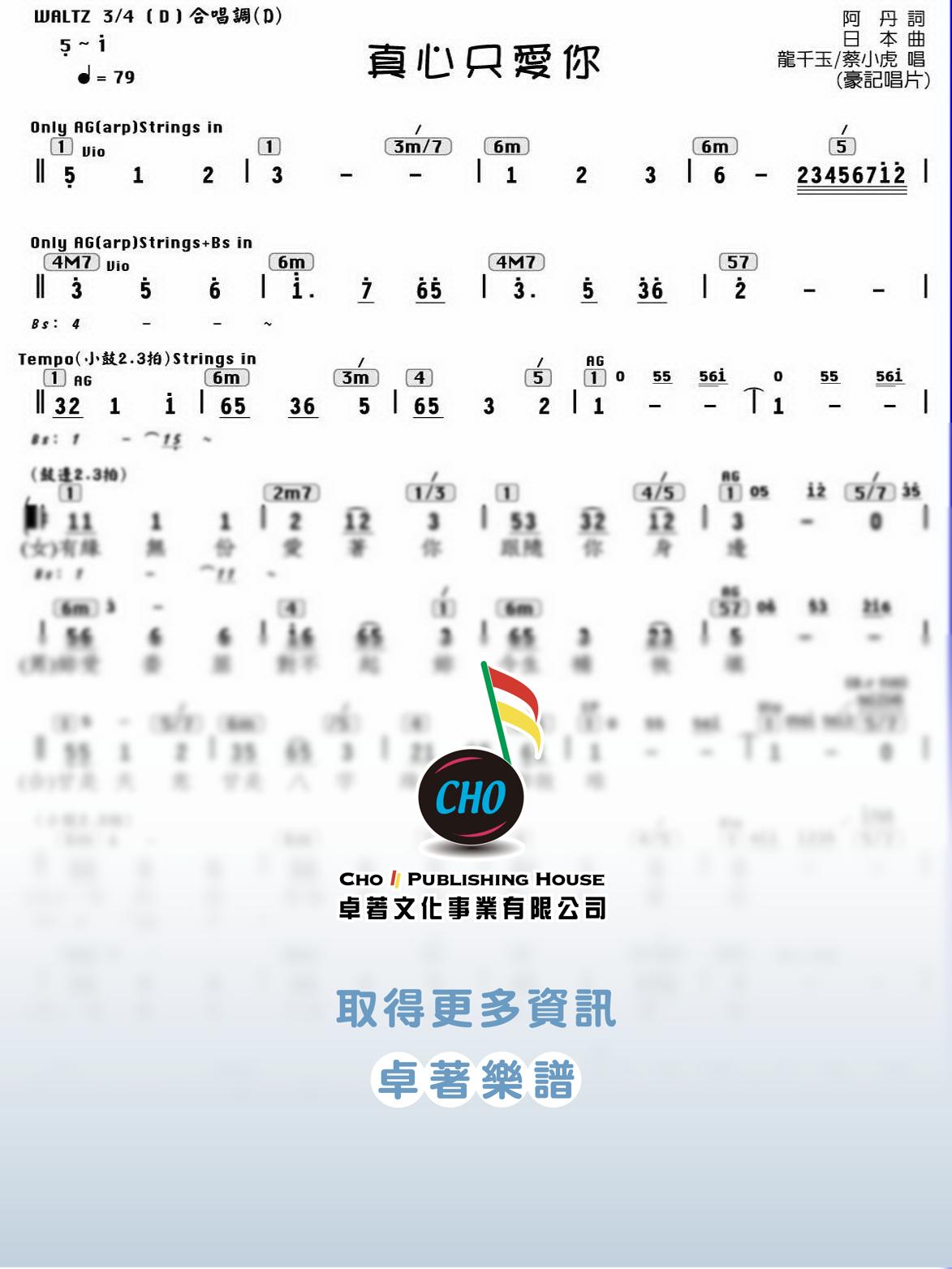 真心只愛你